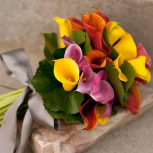 Букет из калл "Тайная страсть"