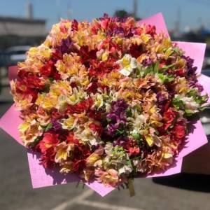 Букет из 101 альстромерии "Заветная мечта"