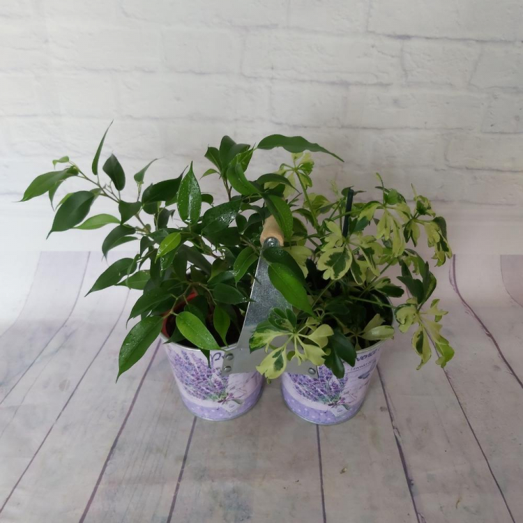 Цветочная композиция в металлическом кашпо