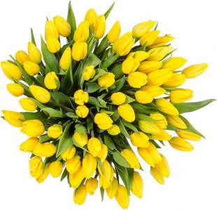 Букет из тюльпанов "Искренняя благодарность"